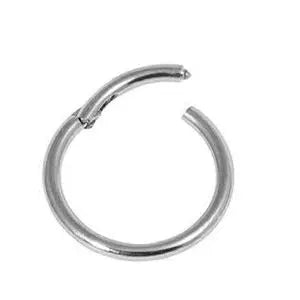 Hinged Segemt Ring aus Titan