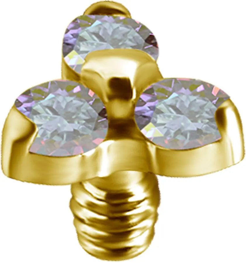 GD TT int TRINITY ATTACHMENT1